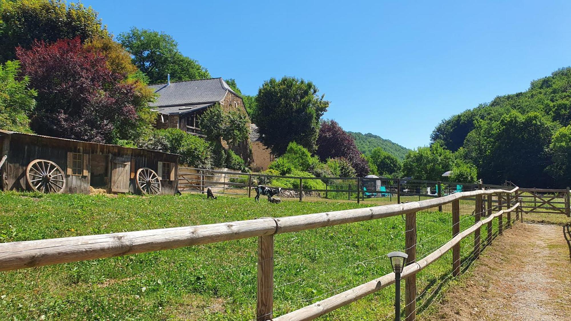 La Ferme des Andes - Gîte l'Atelier Quins Exterior foto
