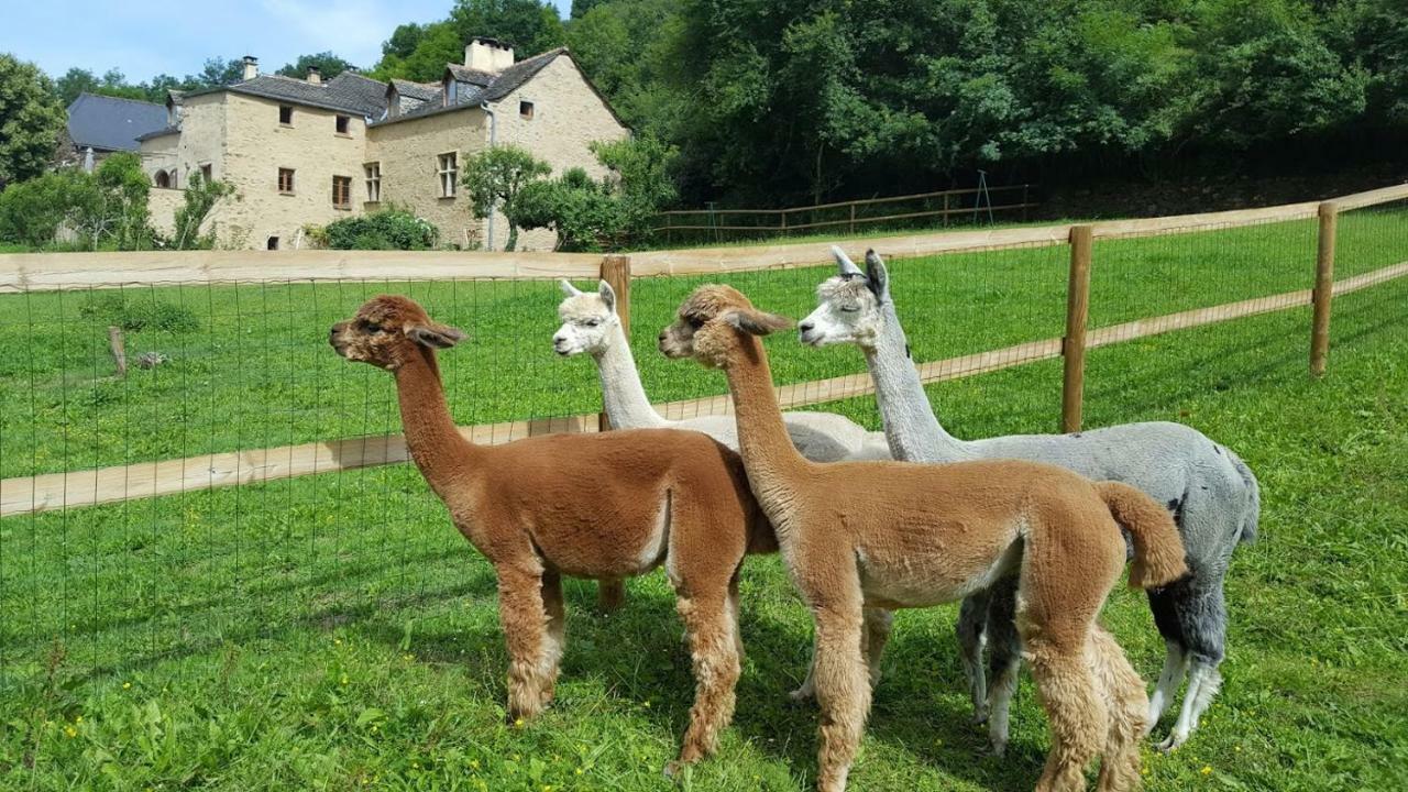 La Ferme des Andes - Gîte l'Atelier Quins Exterior foto